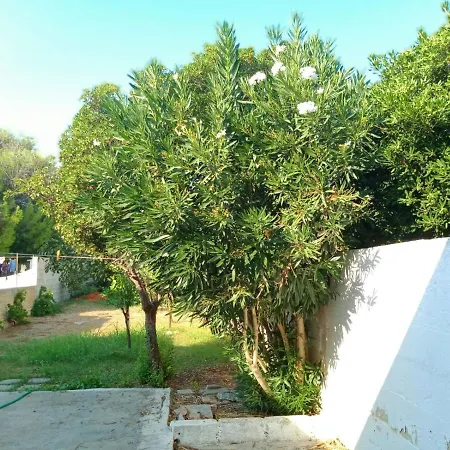 20 M.dal Mare Torre Vado