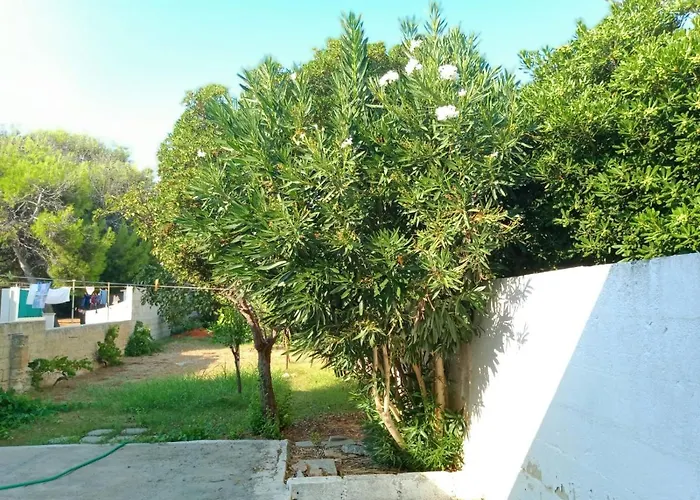 20 M.dal Mare Torre Vado